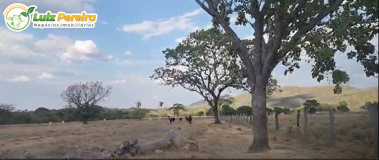 Terreno, 1031 m² - Foto 7