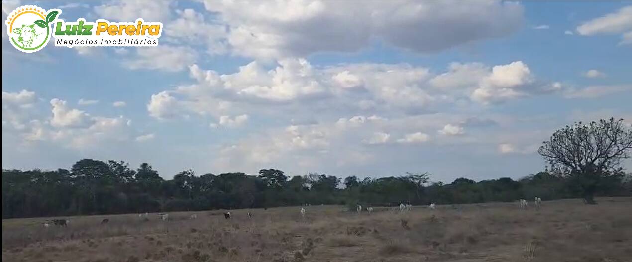 Terreno, 1031 m² - Foto 3