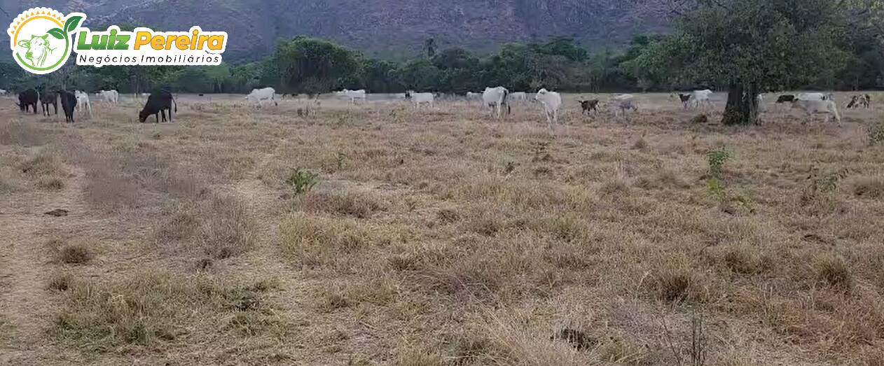 Terreno, 1031 m² - Foto 2