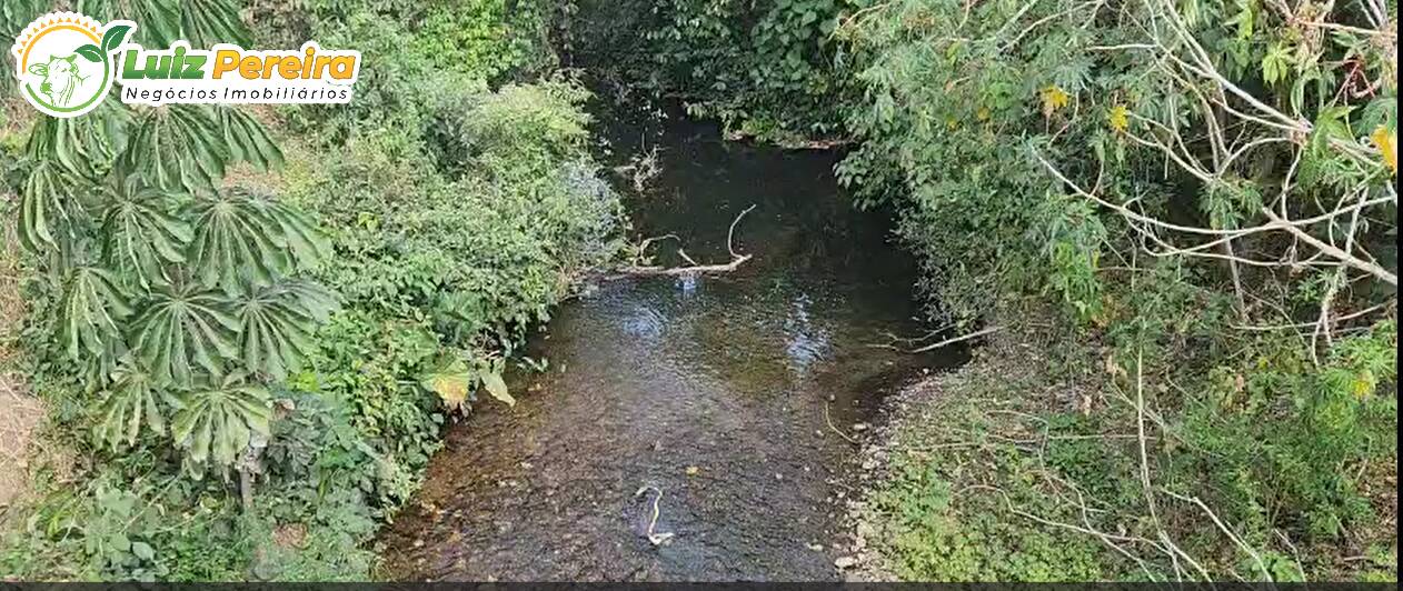 Terreno, 1031 m² - Foto 11