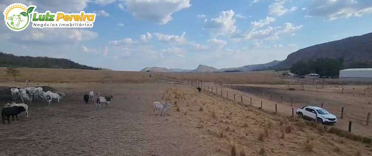 Terreno, 1031 m² - Foto 4