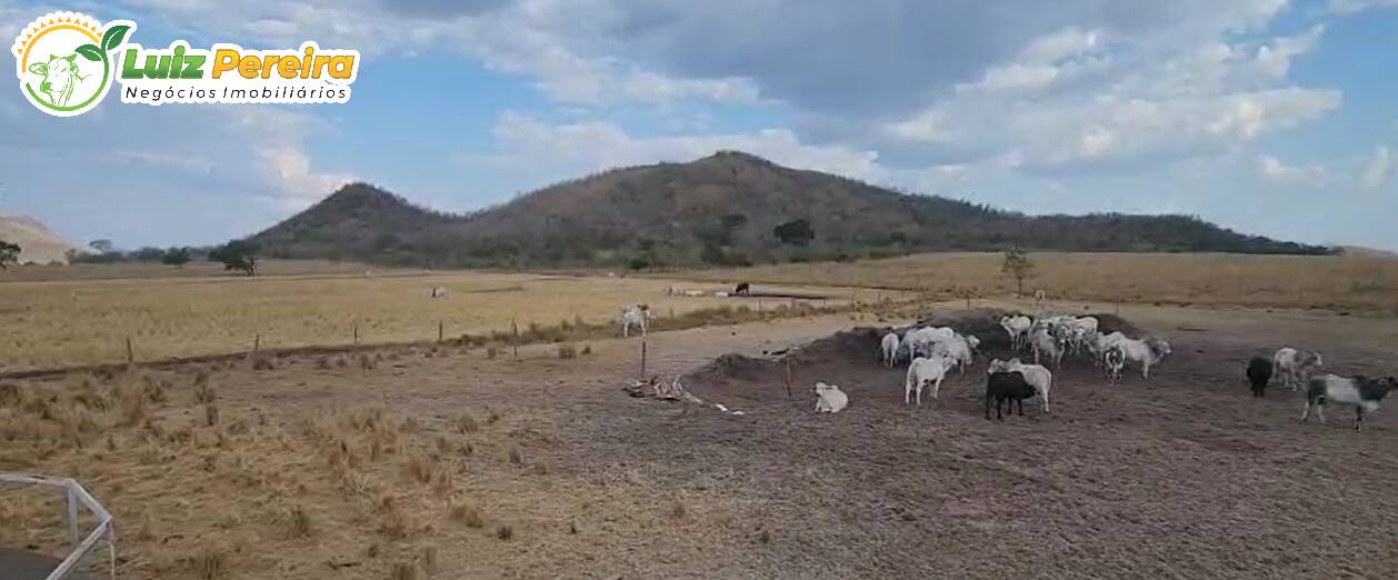 Terreno, 1031 m² - Foto 1