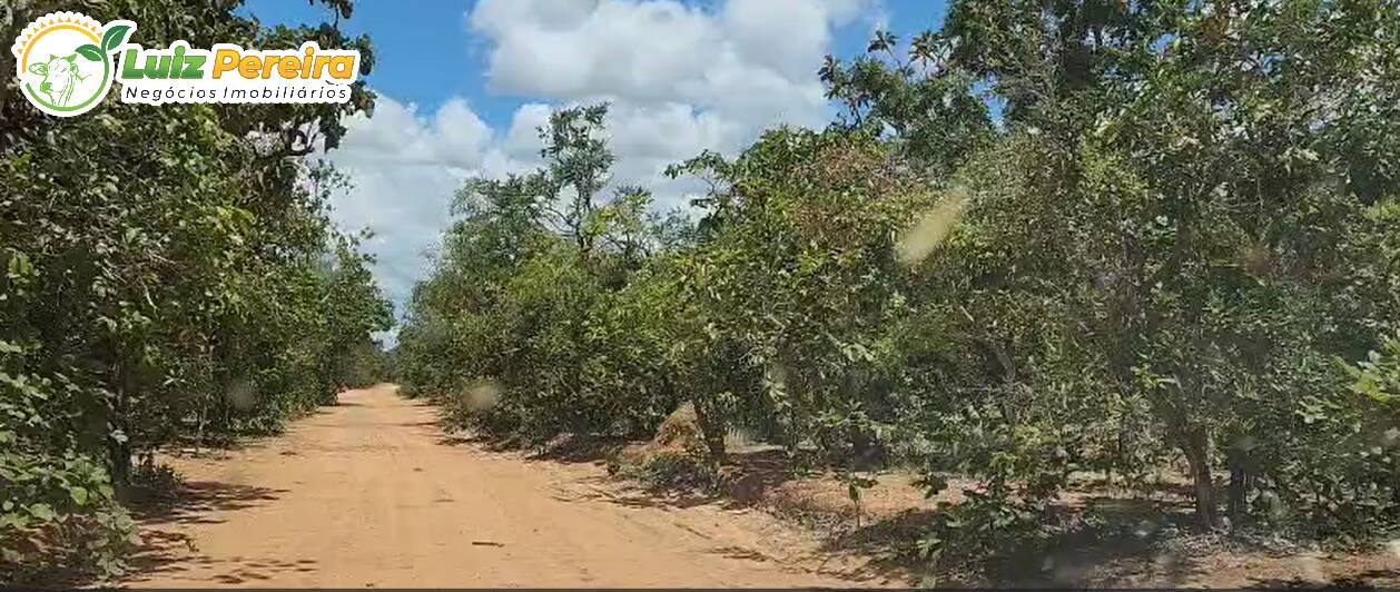 Terreno, 406 m² - Foto 5