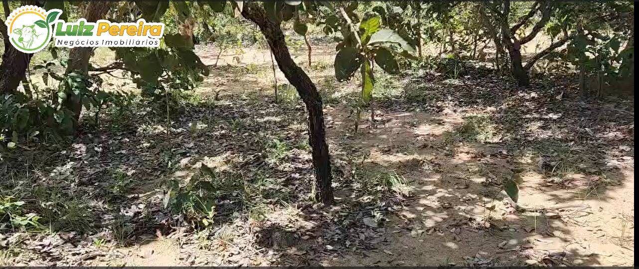 Terreno, 406 m² - Foto 2