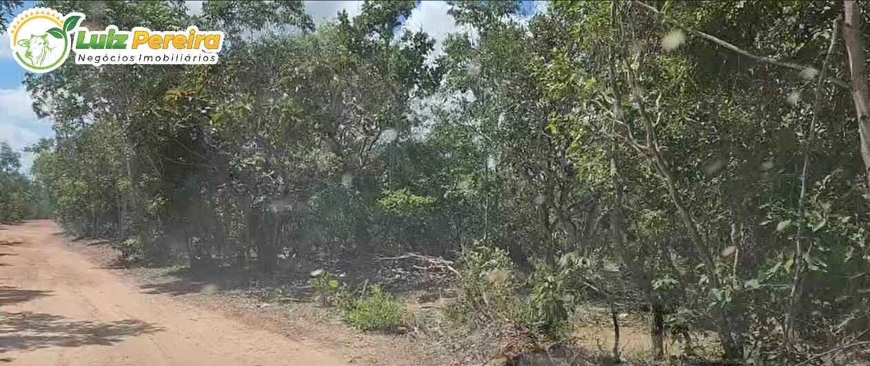 Terreno, 406 m² - Foto 3