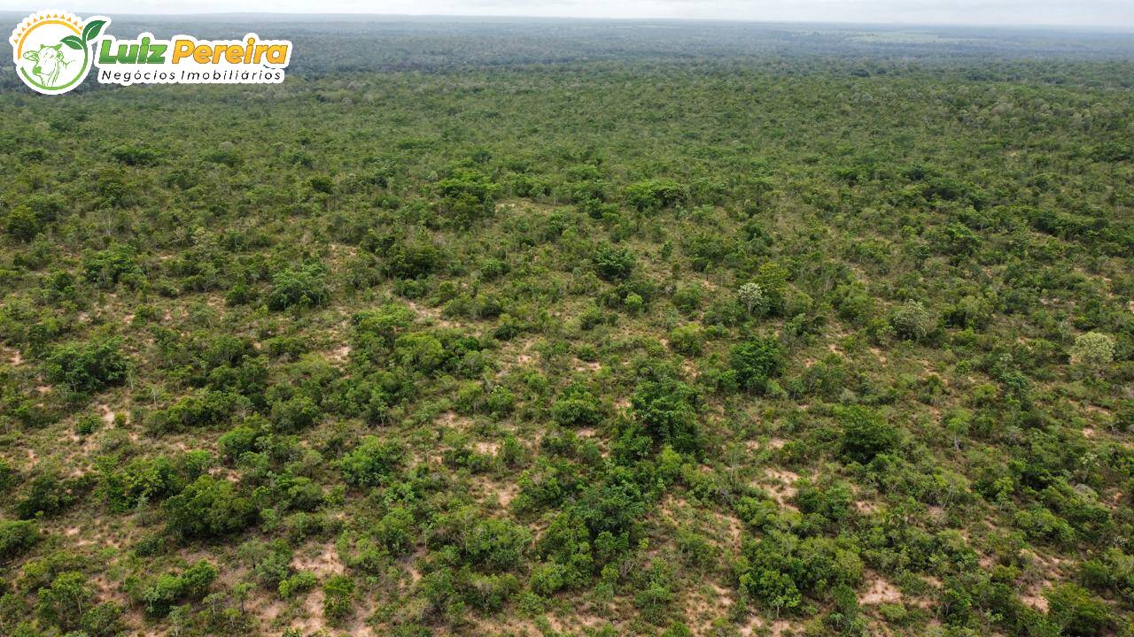 Terreno, 2579 m² - Foto 4