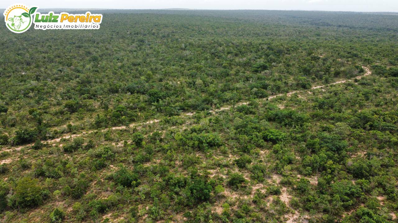 Terreno, 2579 m² - Foto 2