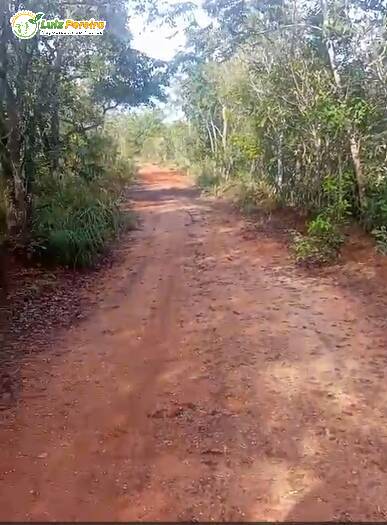 Terreno, 2579 m² - Foto 5