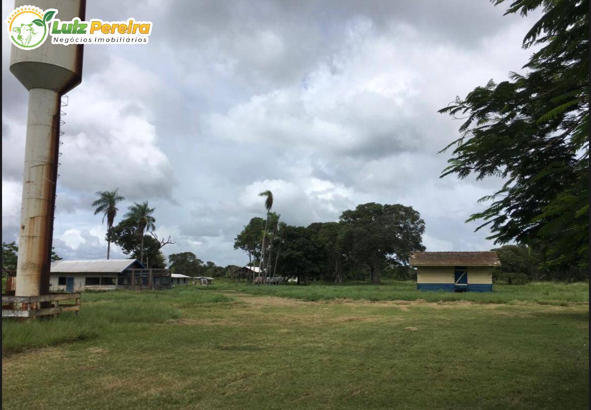 Terreno, 4 hectares - Foto 3