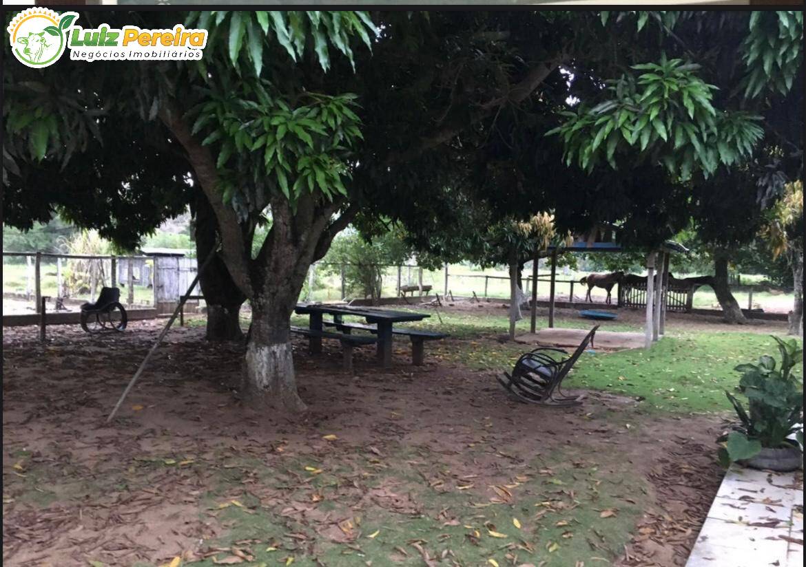 Terreno, 4 hectares - Foto 2