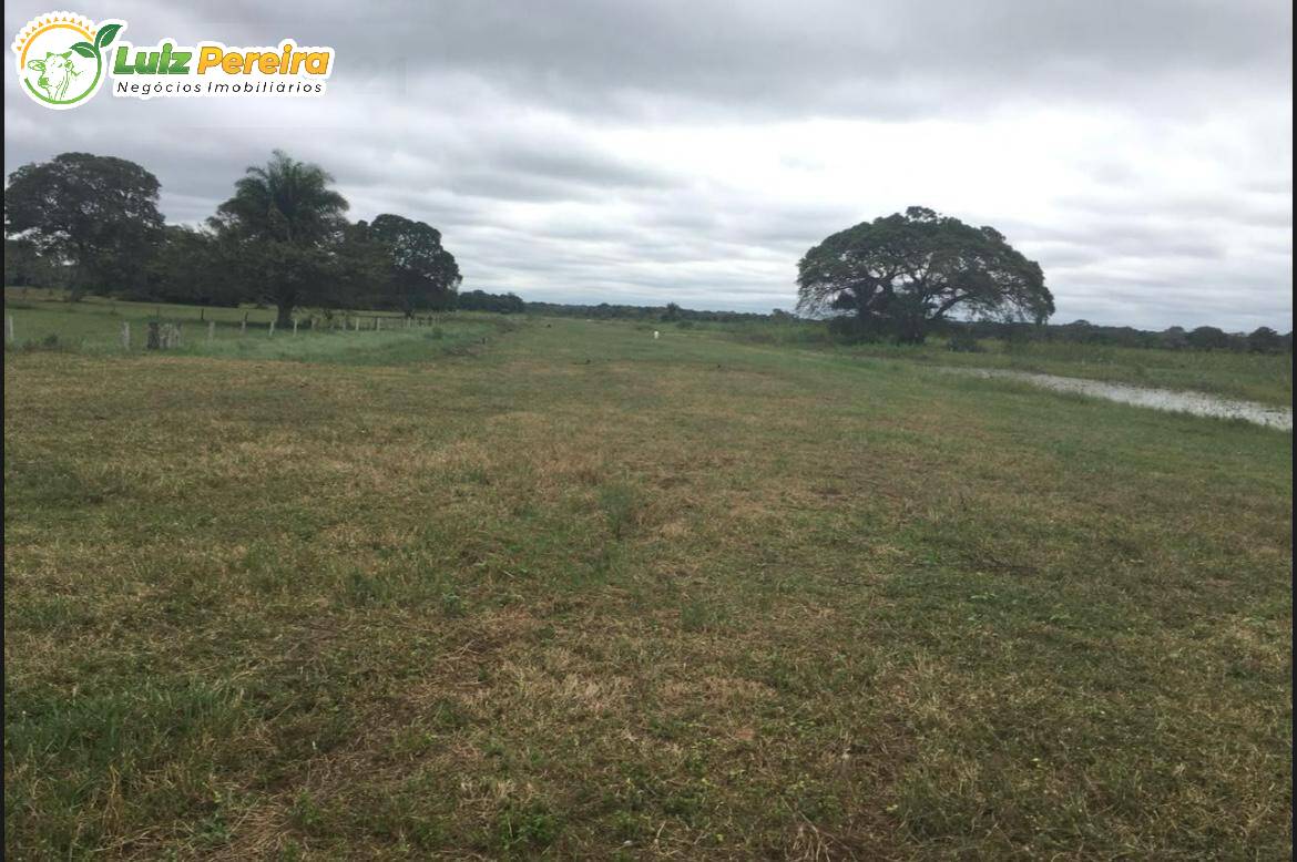 Terreno, 4 hectares - Foto 1