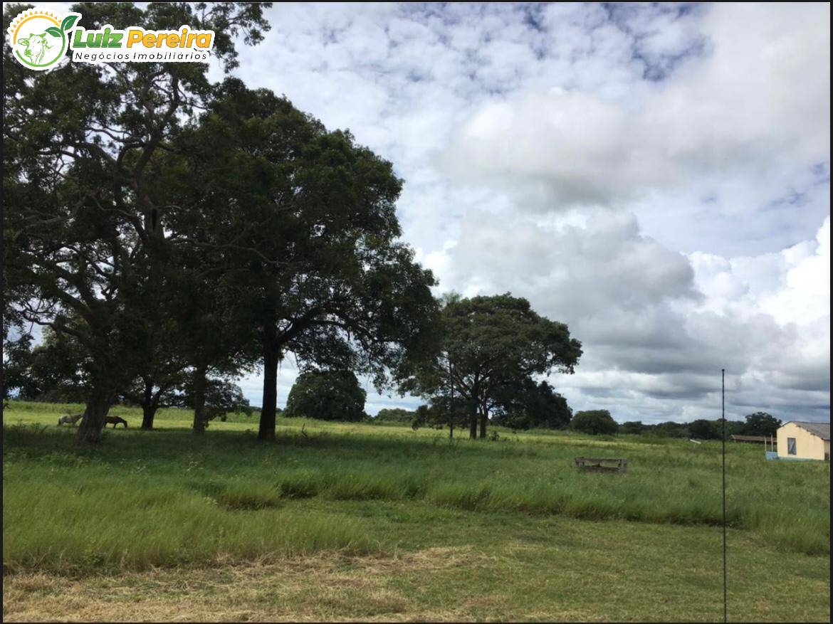 Terreno, 4 hectares - Foto 4