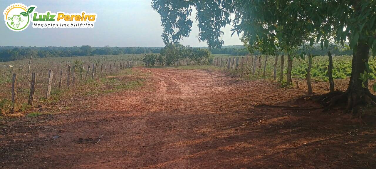 Terreno, 281 m² - Foto 6