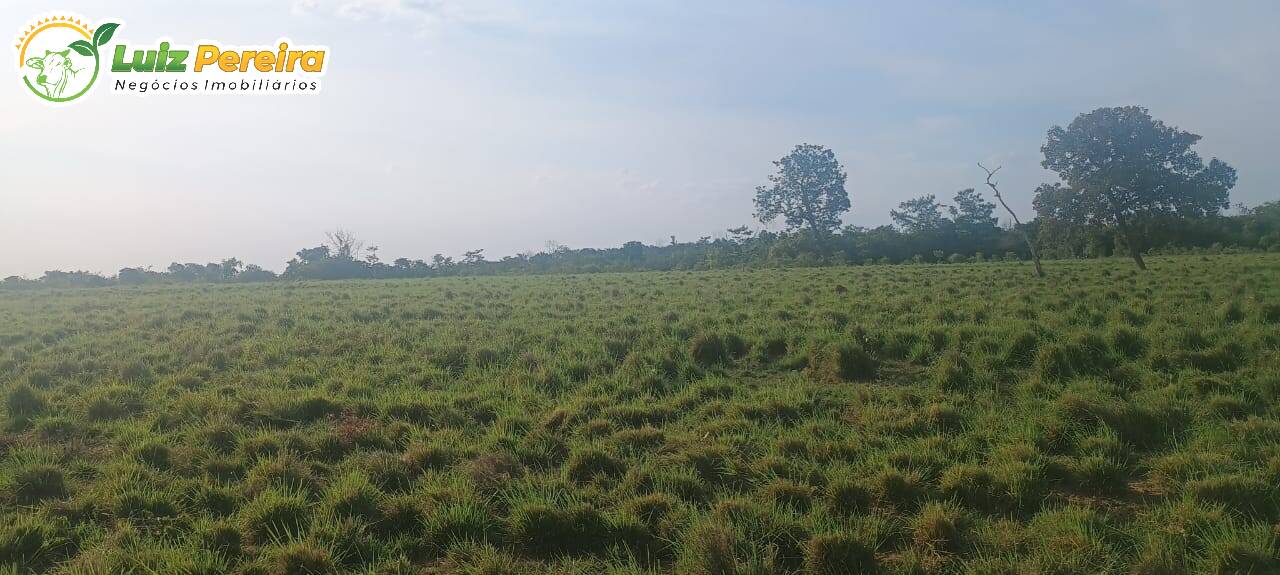 Terreno, 281 m² - Foto 3