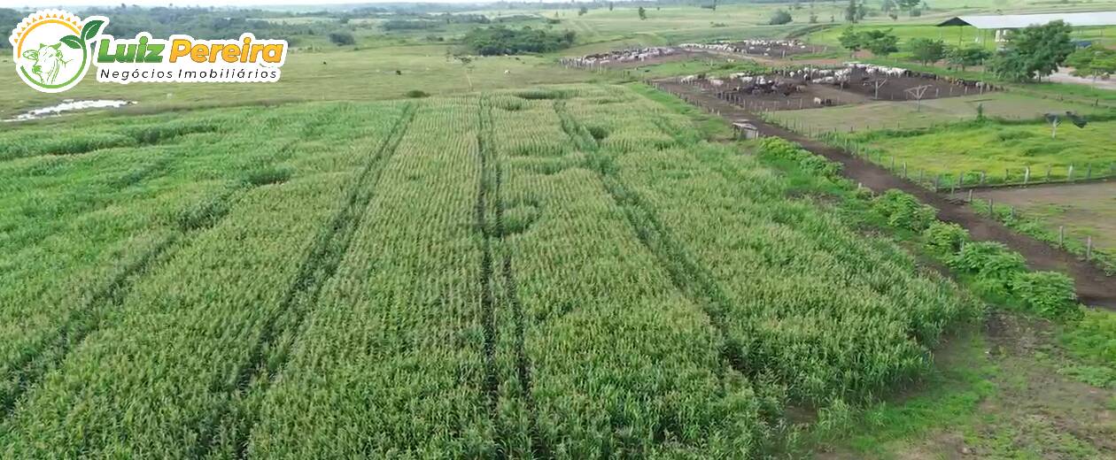 Terreno, 5000 m² - Foto 2