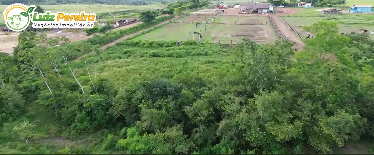 Terreno, 5000 m² - Foto 3