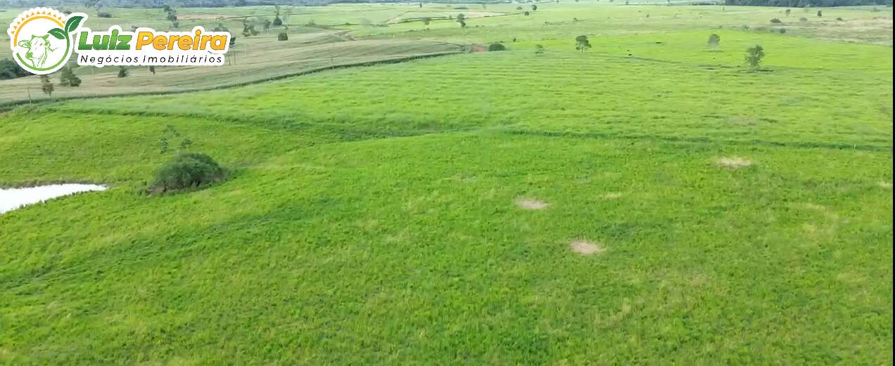 Terreno, 5000 m² - Foto 5