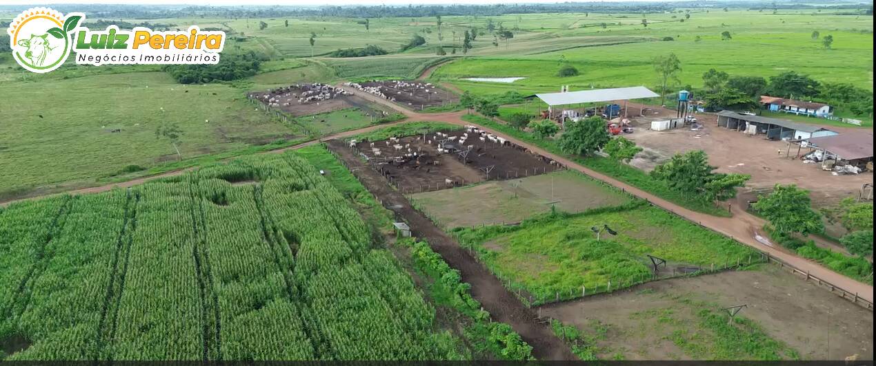 Terreno, 5000 m² - Foto 1