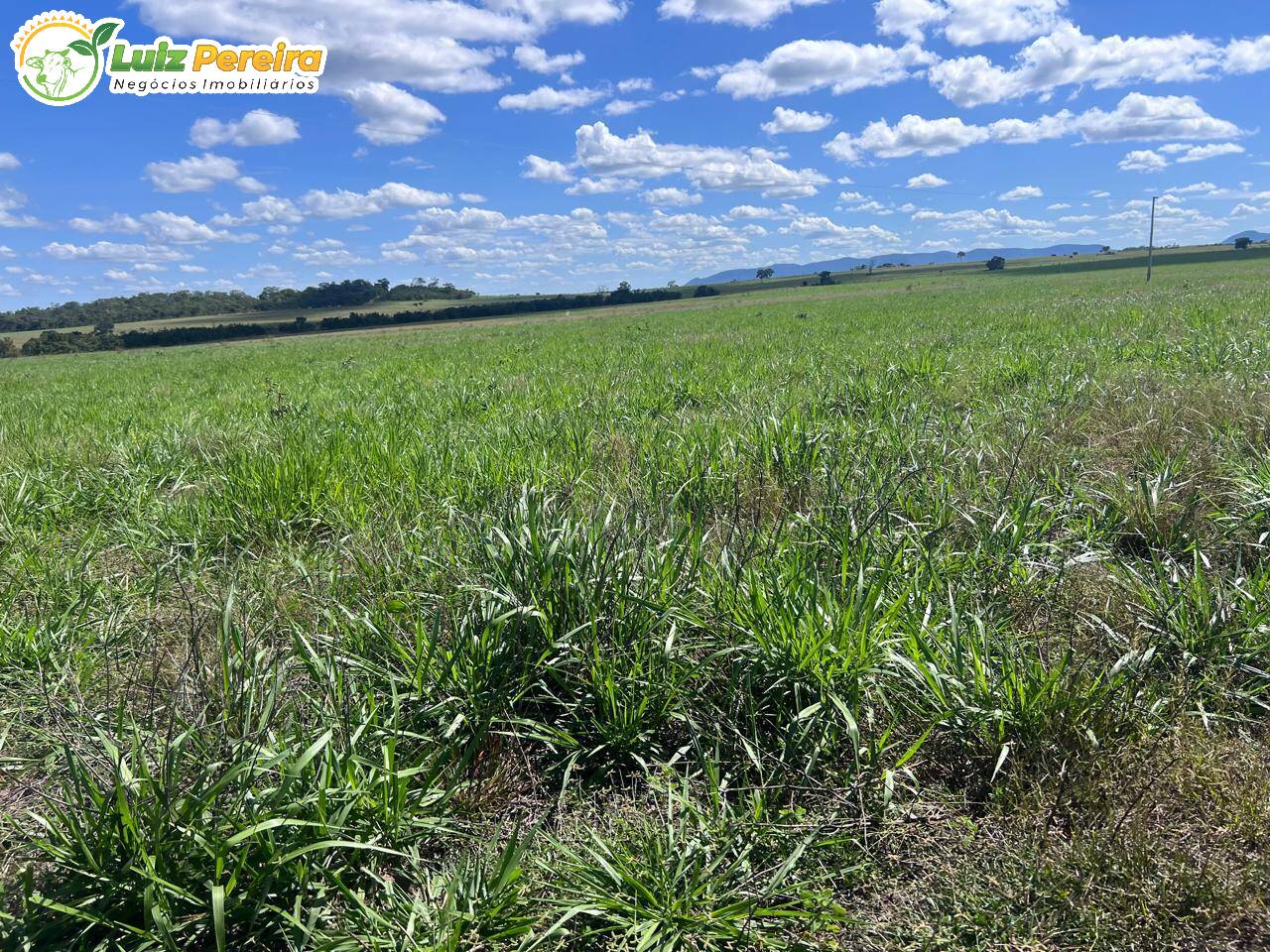 Terreno, 958 m² - Foto 5