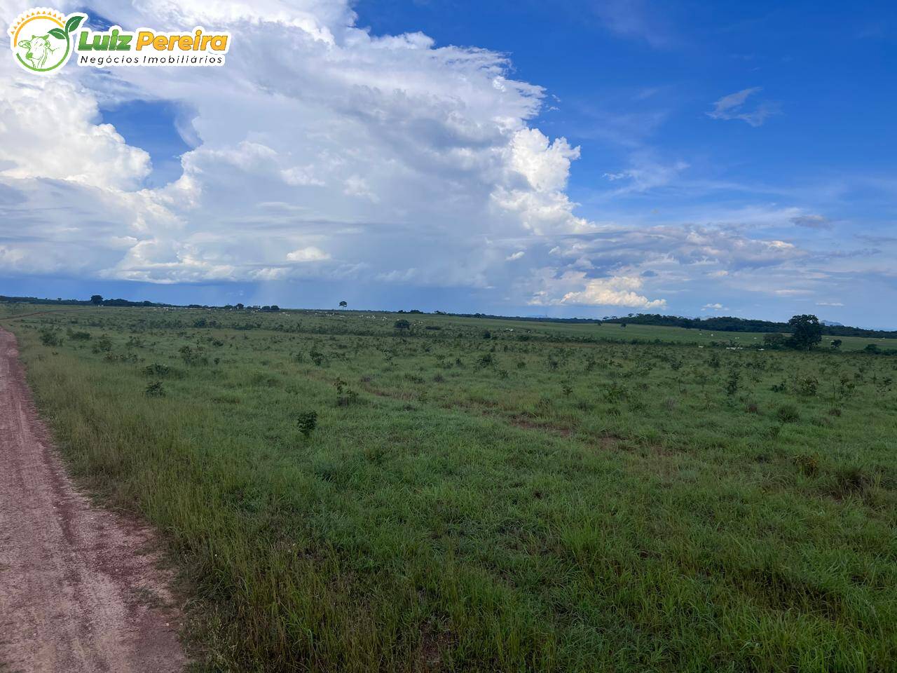 Terreno, 958 m² - Foto 10