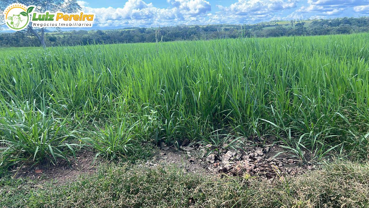 Terreno, 958 m² - Foto 6