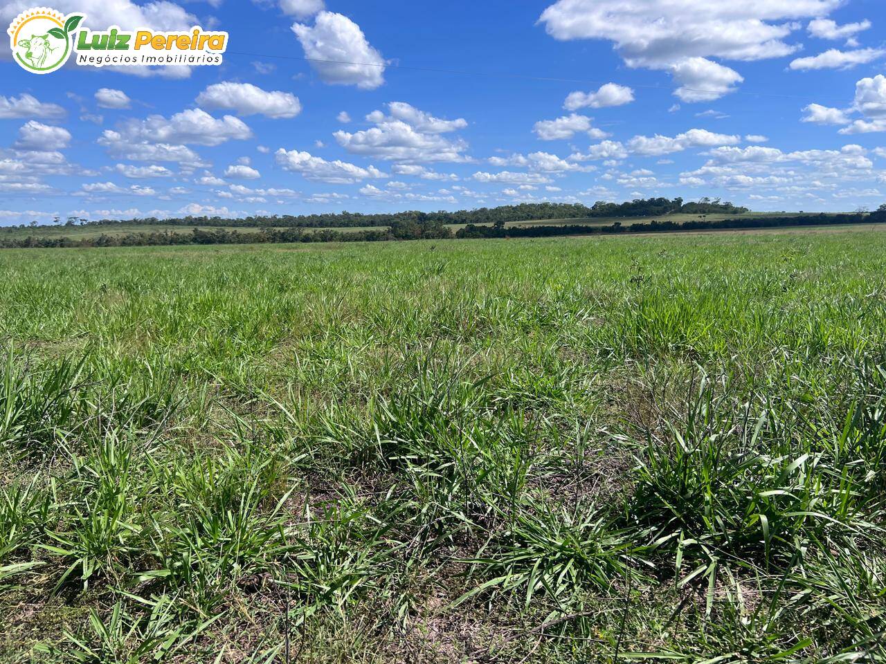 Terreno, 958 m² - Foto 4