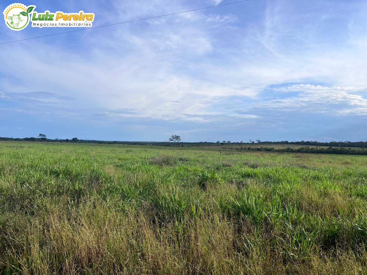 Terreno, 958 m² - Foto 2