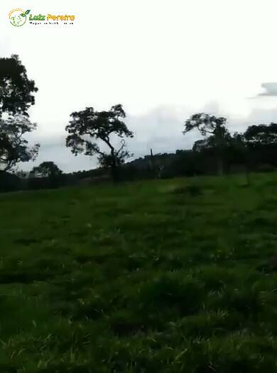 Terreno, 421 m² - Foto 8