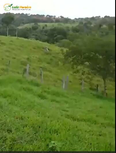 Terreno, 421 m² - Foto 10