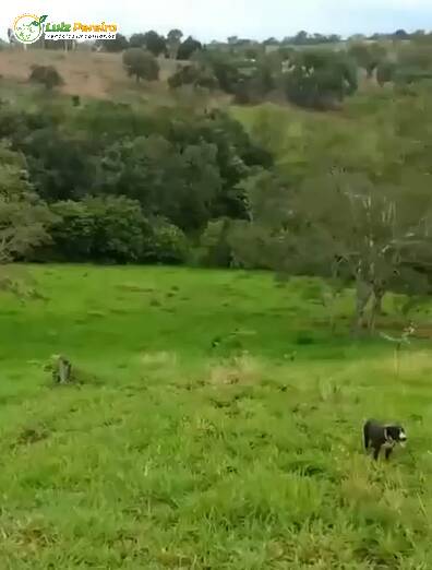 Terreno, 421 m² - Foto 3