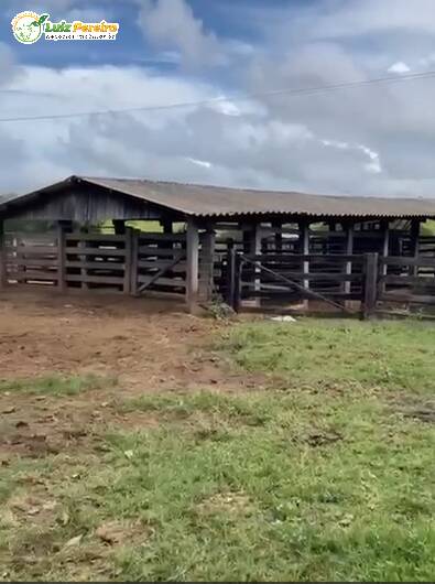 Terreno, 421 m² - Foto 12