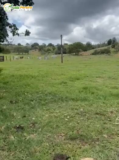 Terreno, 421 m² - Foto 6