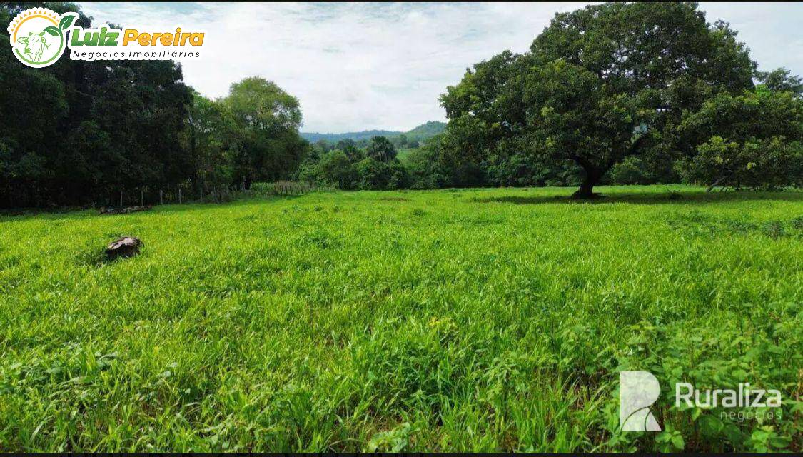 Terreno, 677 m² - Foto 5