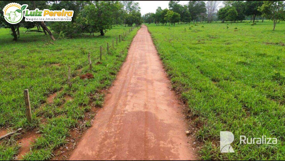 Terreno, 677 m² - Foto 6