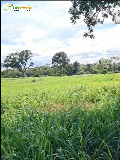 Terreno, 2100 m² - Foto 7