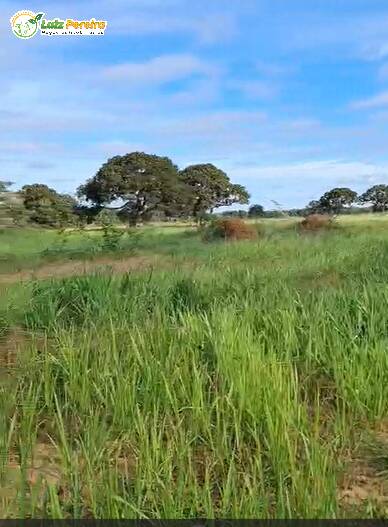 Terreno, 2100 m² - Foto 8