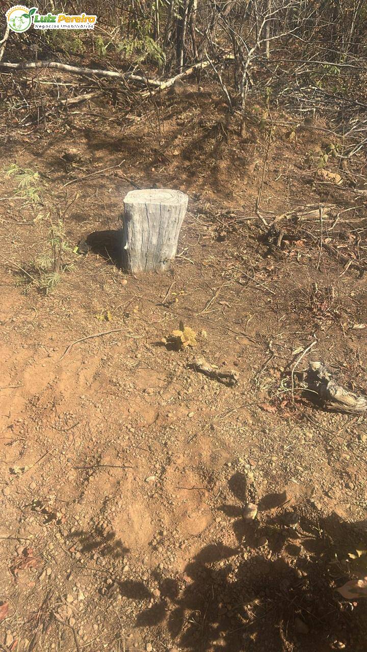 Terreno, 2060 m² - Foto 4