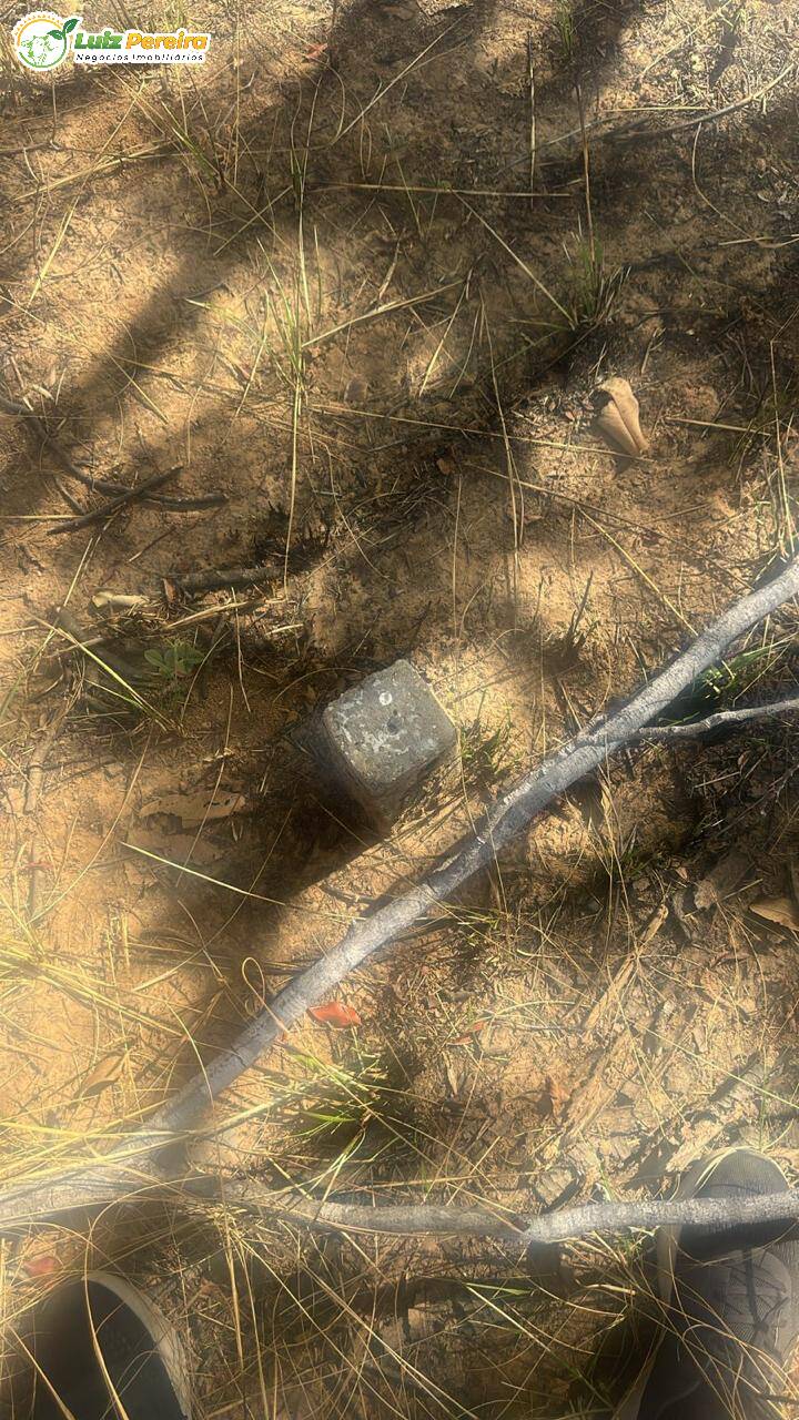 Terreno, 2060 m² - Foto 5