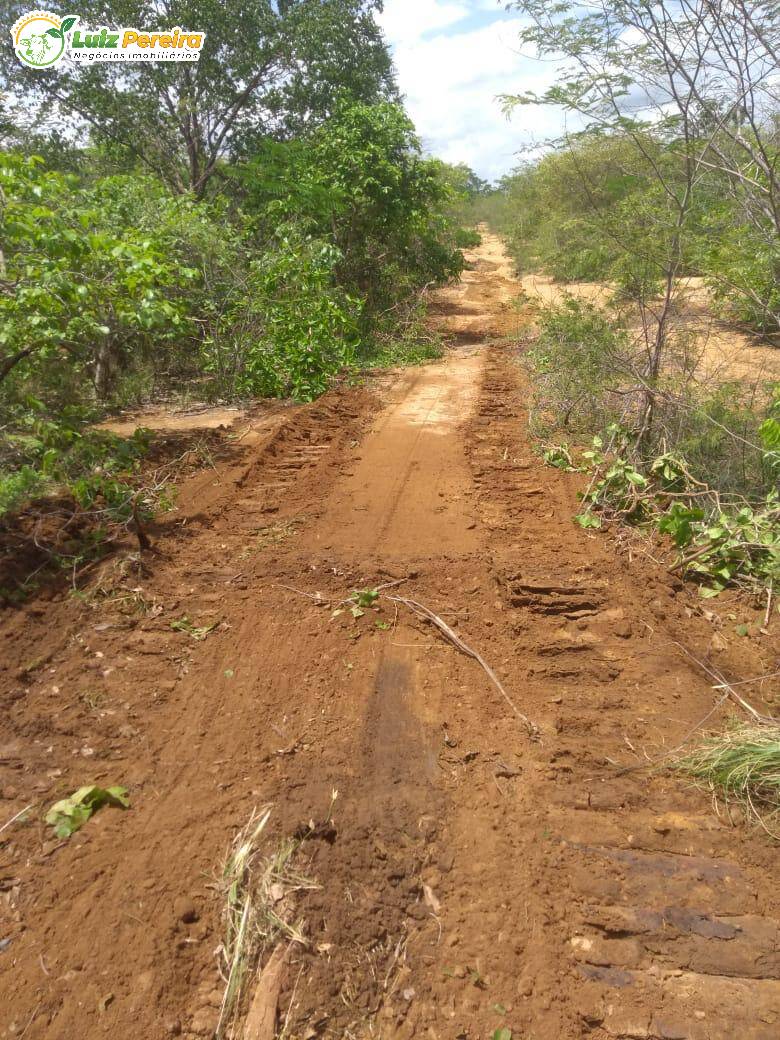 Terreno, 2060 m² - Foto 1