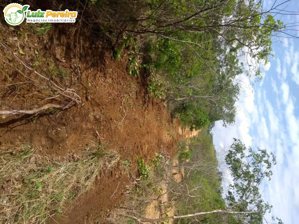 Terreno, 2060 m² - Foto 6