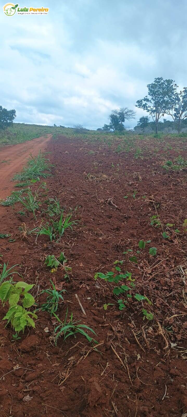 Terreno, 2060 m² - Foto 8