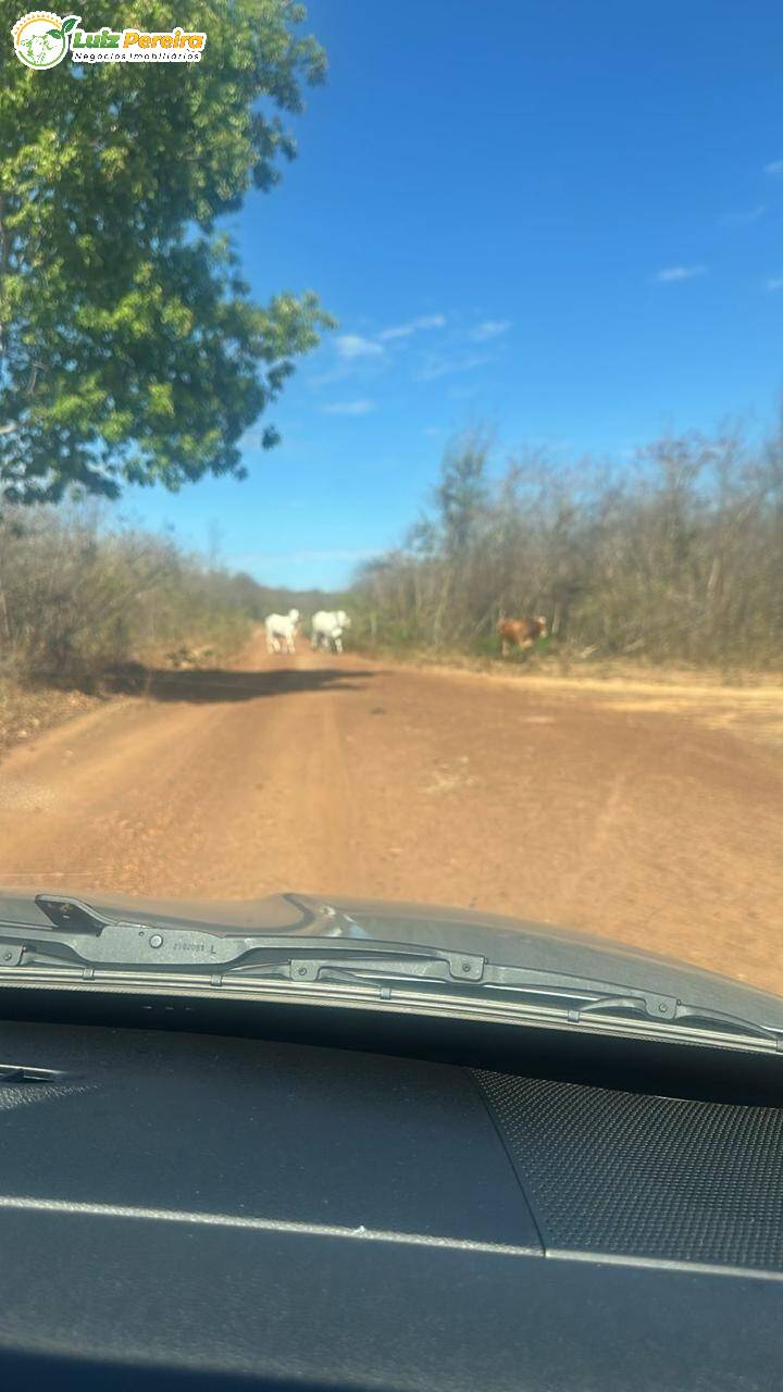 Terreno, 2060 m² - Foto 3