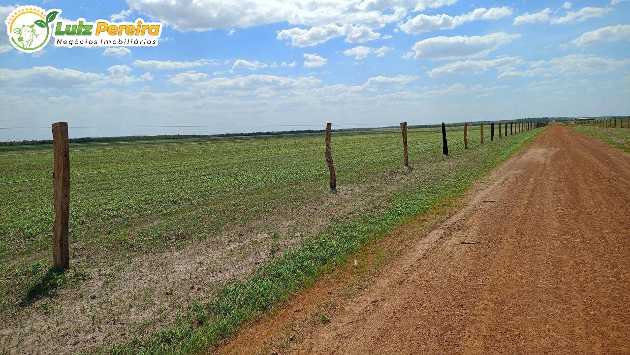 Terreno, 2720 m² - Foto 12