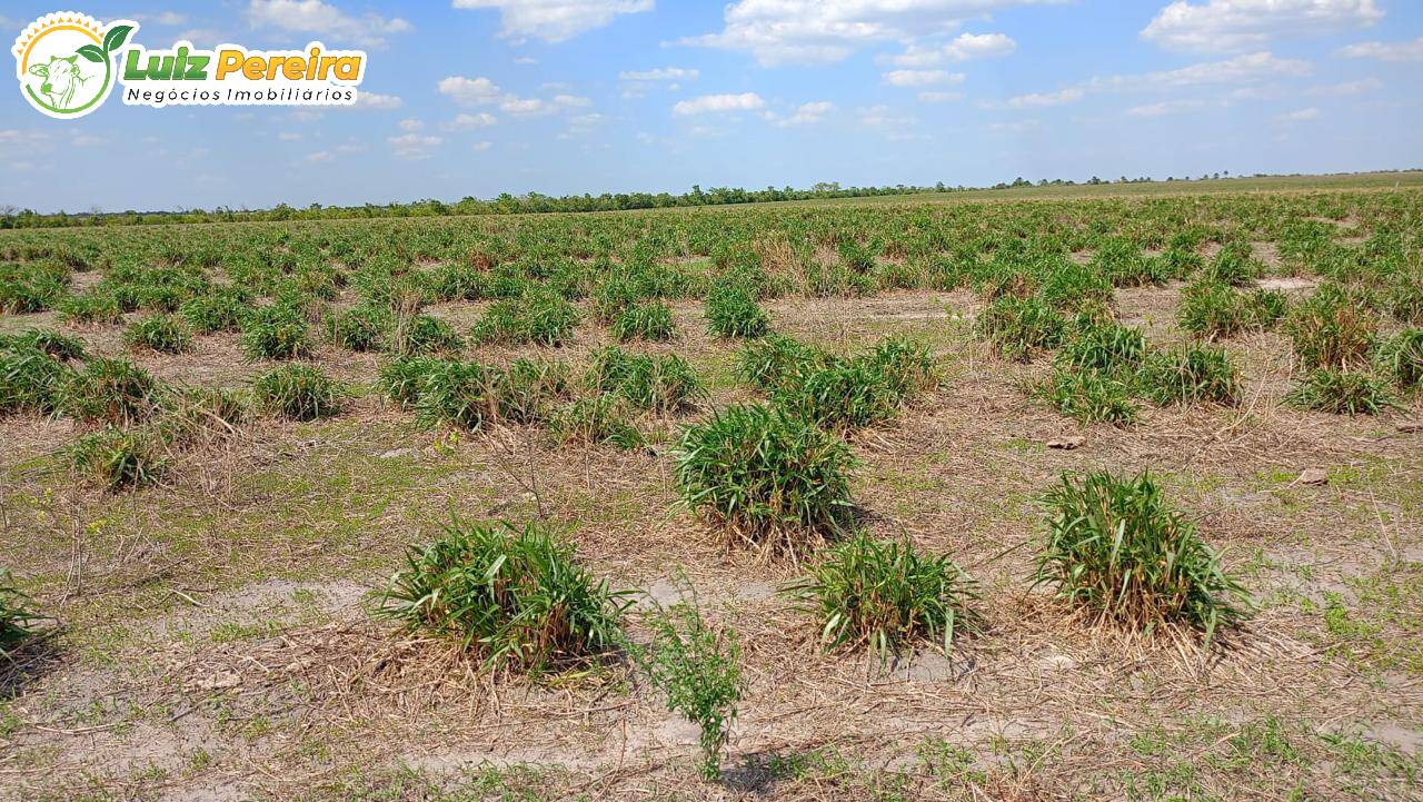 Terreno, 2720 m² - Foto 4