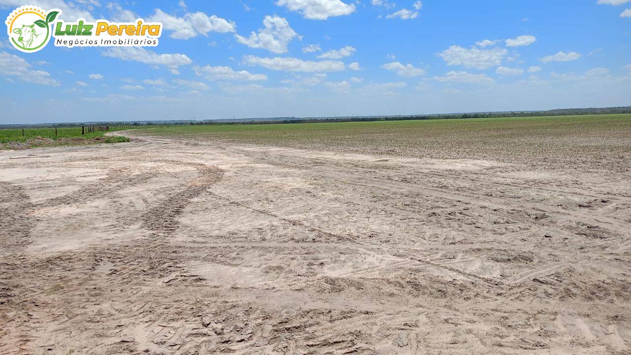 Terreno, 2720 m² - Foto 22