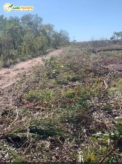 Terreno, 1600 m² - Foto 4