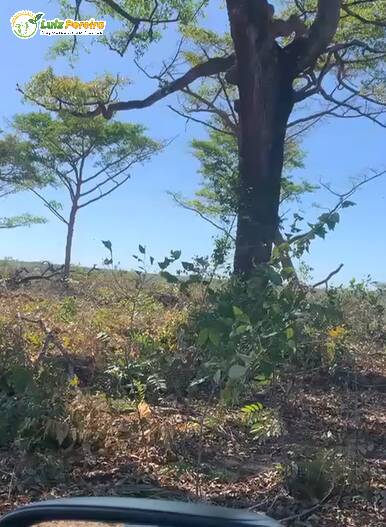 Terreno, 1600 m² - Foto 1