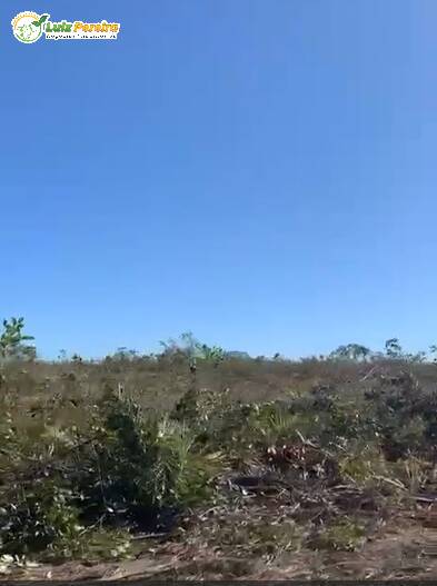 Terreno, 1600 m² - Foto 5