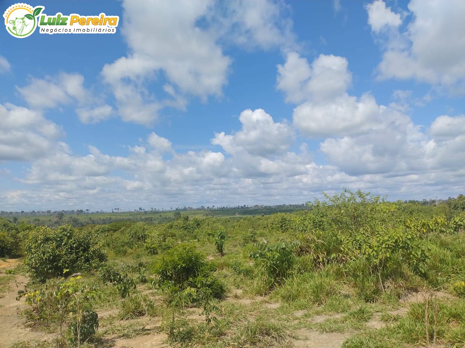 Terreno, 651 m² - Foto 8