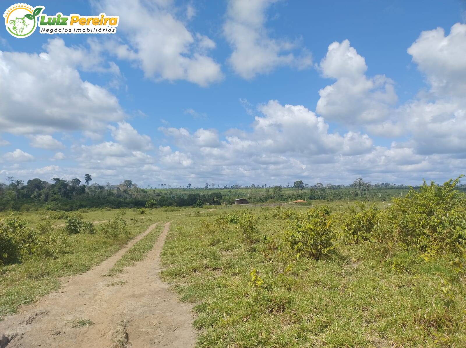 Terreno, 651 m² - Foto 9